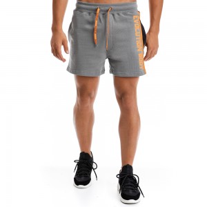 Shorts Evolution Body Grey 2293GR