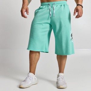 Shorts Evolution Body Mint 2529MINT