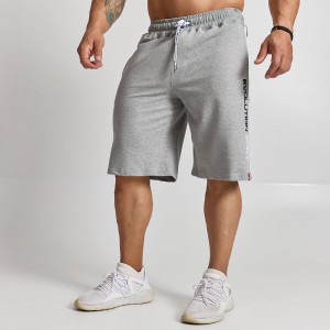 Training Shorts Evolution Body Grey 2506GREY