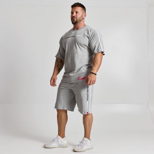 Training Shorts Evolution Body Grey 2506GREY