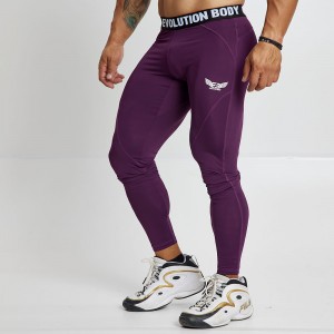 EVO-FIT Training Leggings Evolution Body Bordo 2559BORDO