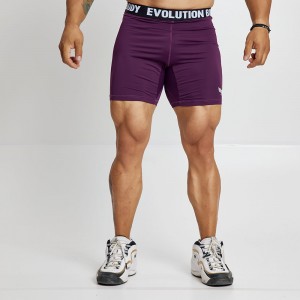 EVO-FIT Κολάν Σορτς Evolution Body Μπορντό 2561BORDO