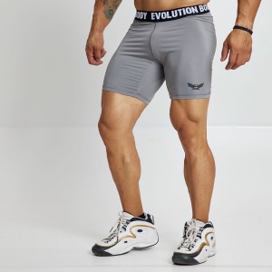 EVO-FIT Tight Training Shorts Evolution Body Grey 2561GREY