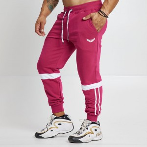 Sweatpants Evolution Body Bordo 2449BORDO