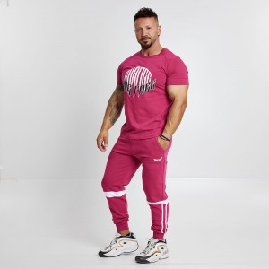 Sweatpants Evolution Body Bordo 2449BORDO