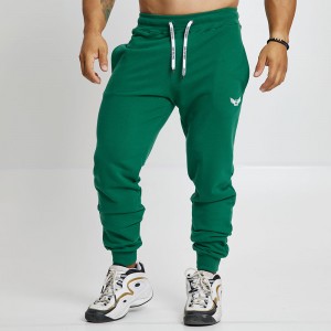 Sweatpants Evolution Body Green 2487GREEN