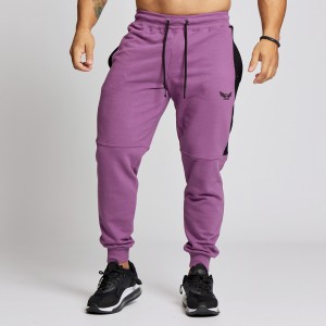 Sweatpants Evolution Body Purple 2594PURPLE