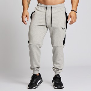 Sweatpants Evolution Body Grey 2594GREY