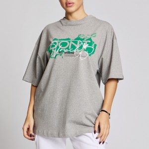 Sweatshirt Evolution Body Grey 2617GREY