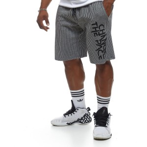 Training Shorts Evolution Body Grey-Black 2470