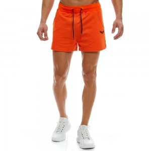 Training Shorts Evolution Body Orange 2254orange