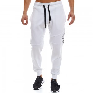 Sweatpants Evolution Body Grey 2340W