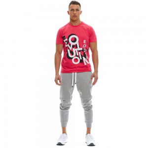 Sweatpants Evolution Body Grey 2340GR