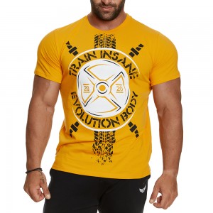 T-shirt Evolution Body Κίτρινο 2404YELLOW