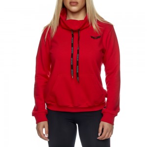 Hoodie Sweatshirt Evolution Body 2427