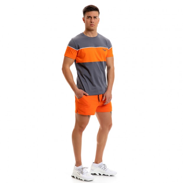 T-shirt Evolution Body Γκρι 2259GREY
