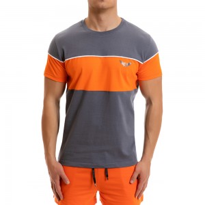 T-shirt Evolution Body Γκρι 2259grey