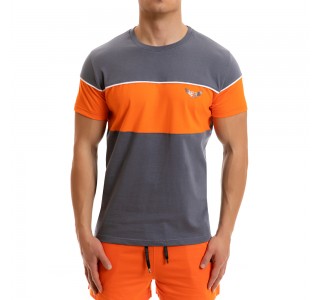 T-shirt Evolution Body Γκρι 2259GREY