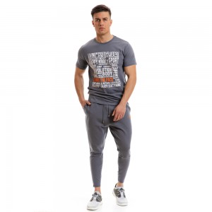 T-shirt Evolution Body Grey 2267grey