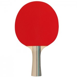 Ρακέτα Ping Pong 2 stars 61UF