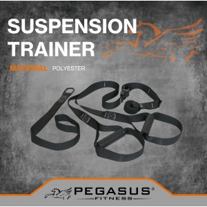Pegasus® Ιμάντες Ενδυνάμωσης (Suspension Trainer) Β 0999