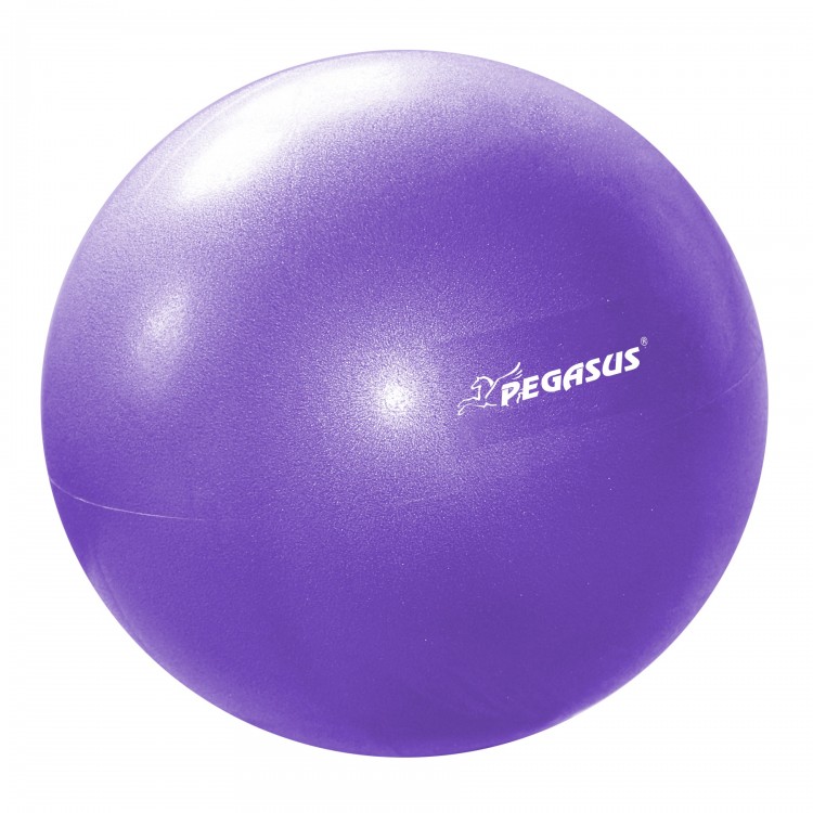 Pegasus® Μπάλα Γυμναστικής Pilates 25cm (Μωβ) Β-1510