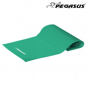 Λάστιχο Ενδυνάμωσης Κορδέλα Pegasus® (Medium) Β 6308-M