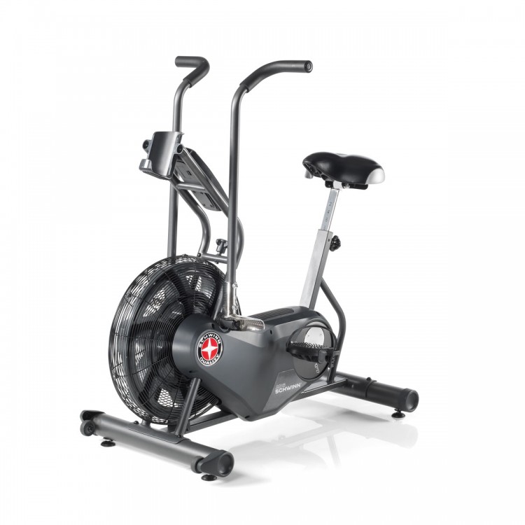 Schwinn® Airdyne® AD6 Π-126