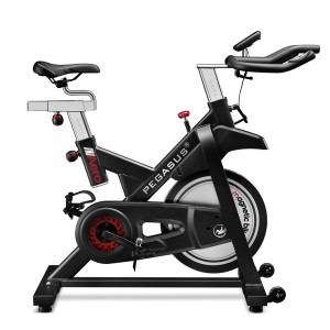 Μαγνητικό Ποδήλατο Pegasus® Spin Bike "Aero" Π-117