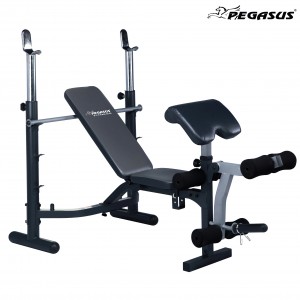 Πολυπάγκος Βαρών Pegasus® JX-764 Λ-586