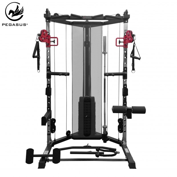Pegasus® Functional Trainer FT-100 392211312