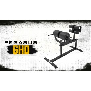 Pegasus® Πάγκος Ραχιαίων GHD Λ-649