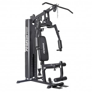 Πολυόργανο Pegasus® JX-DS185F/915 (Αναδιπλούμενο)