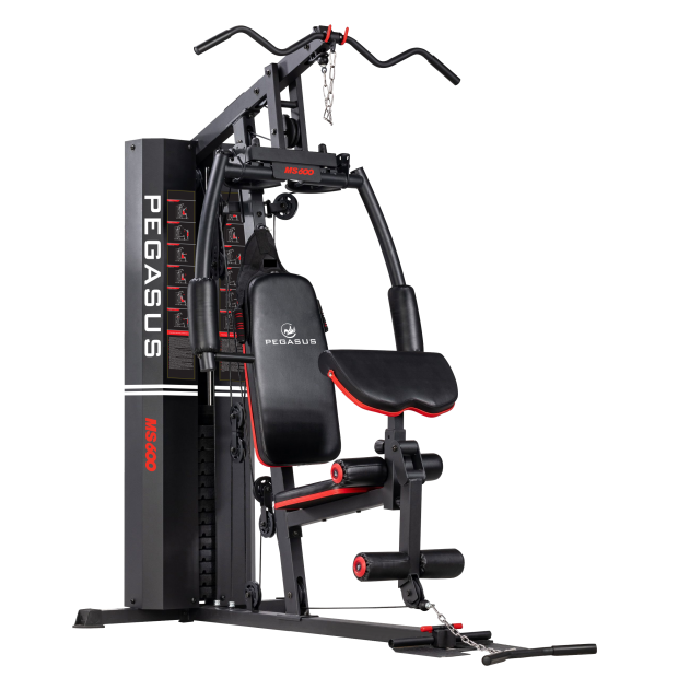 Πολυόργανο Pegasus® MS-600 Λ-5210