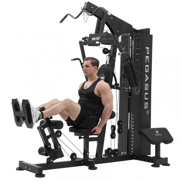 Πολυόργανο Pegasus® MS-130 378131913