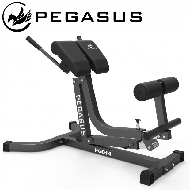 Pegasus® Πάγκος Ραχιαίων Ρυθμιζόμενος PG-014 390167014