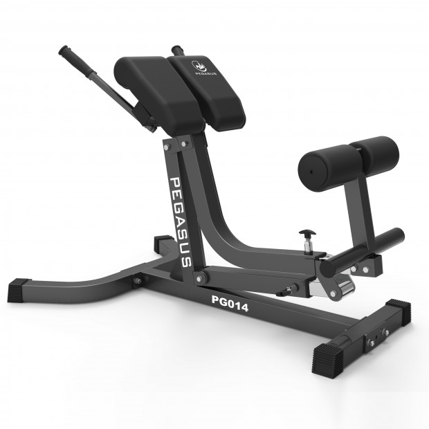 Pegasus® Πάγκος Ραχιαίων Ρυθμιζόμενος PG-014 390167014