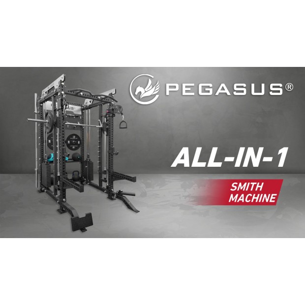 Pegasus® PG-2000 All-In-One Trainer 327200002