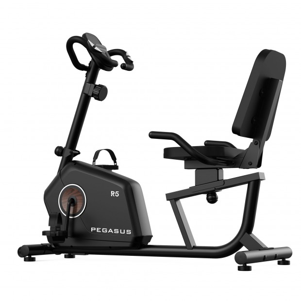 Pegasus® Καθιστό Ποδήλατο R5 341210185