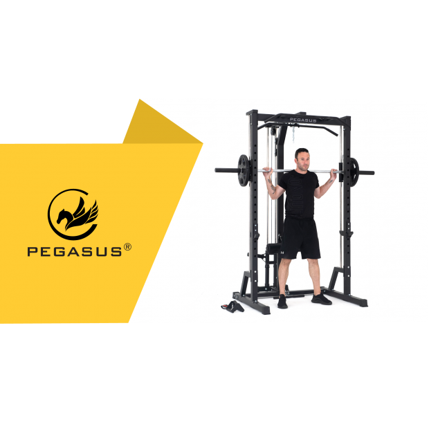 Pegasus® S3MF Smith Λ-5612