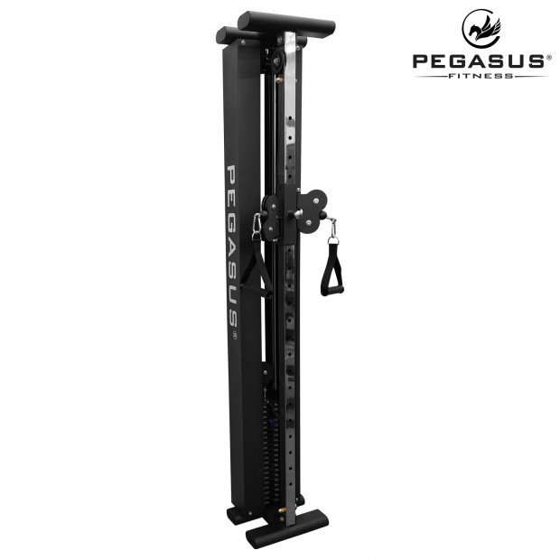 Functional Trainer Τοίχου Pegasus® T-SC01 Λ-5335