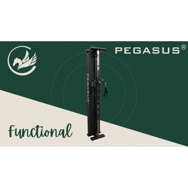 Functional Trainer Τοίχου Pegasus® T-SC01 Λ-5335