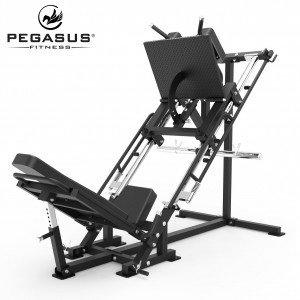 Pegasus® Leg Press/Hack Squat 45º TR45