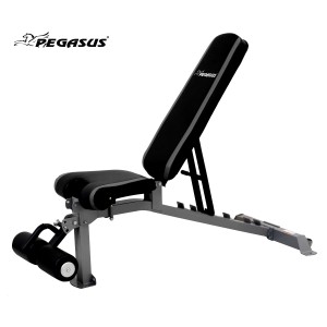 Πάγκος Ρυθμιζόμενος Pegasus® VB Λ-563