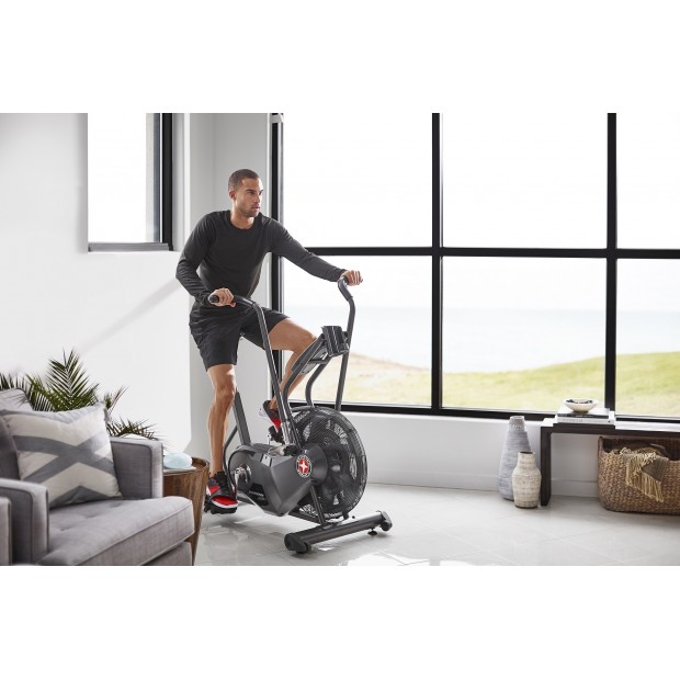 Schwinn® Airdyne® AD6 Π-126