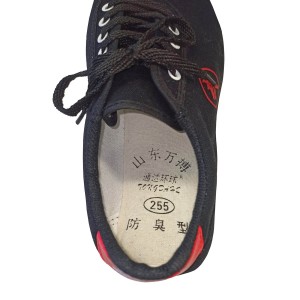 Tai-chi Παπούτσια CANVAS